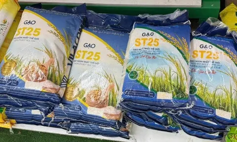 "Cuộc chiến" gạo ST25 tại Úc: Sở hữu trí tuệ, nguồn gốc và dấu hỏi về đạo đức kinh doanh