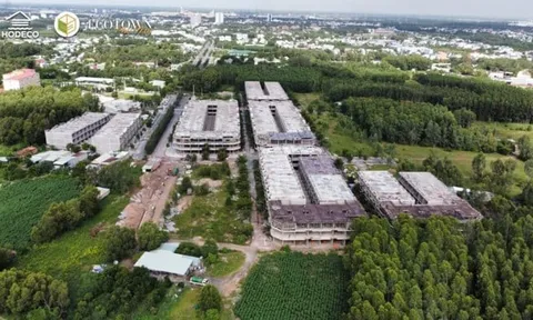 Thanh tra chỉ ra loạt thiếu sót tại The Light City và Ecotown Phú Mỹ