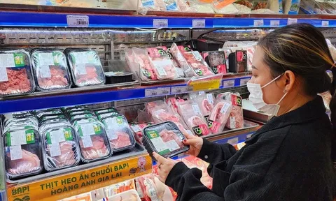 Hoàng Anh Gia Lai: Kết quả kinh doanh khởi sắc, dòng tiền vẫn âm nặng
