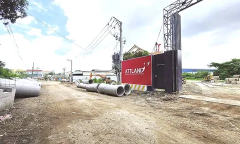 TP.HCM dẹp nạn “bán lúa non” dự án bất động sản