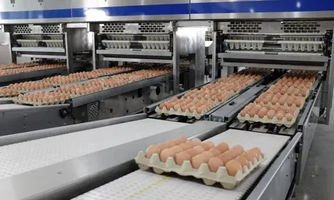 Trước thềm lên sàn HoSE, Nông nghiệp Hòa Phát có gì?