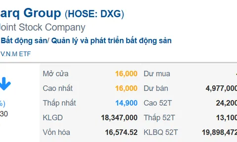 Cổ phiếu DXG “lau sàn” dư bán gần 5 triệu cp