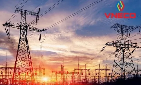 HOSE ấn định ngày huỷ niêm yết hơn 90 triệu cổ phiếu VNE