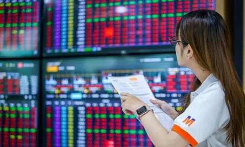 Thị trường chứng khoán tiếp tục rung lắc, nhóm trụ lớn chưa thoát áp lực bán