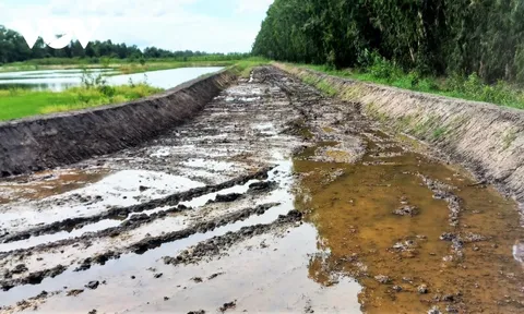 Một doanh nghiệp ở An Giang xây dựng sân đua bò không phép, bất chấp pháp luật