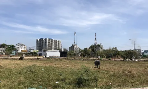 TPHCM xin cấp sổ đỏ cho đất mua bán giấy tay: Giải pháp cần cho người ở thực