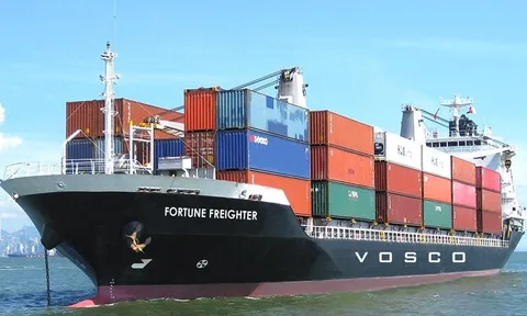 Lợi nhuận sau thuế 6 tháng đầu năm của VOSCO (VOS) tăng gần 42%