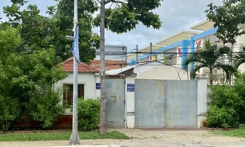 UBND TP. Vũng Tàu chỉ đạo xử lý doanh nghiệp làm dự án trên đất lâm nghiệp