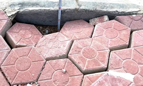 Huyện Thuỷ Nguyên (Hải Phòng): Hạ tầng khu tái định cư nhanh chóng xuống cấp, kém chất lượng