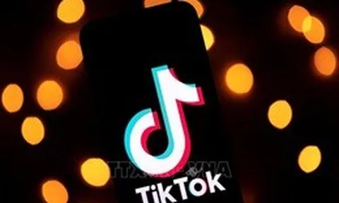 Xử phạt người đăng TikTok sai sự thật, xúc phạm uy tín của lực lượng Cảnh sát PCCC