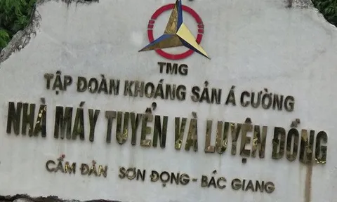 Tập đoàn Khoáng sản Á Cường bị xử phạt do vi phạm công bố thông tin