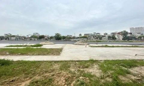 Hà Nội: Kiến nghị thu hồi hơn 1.800 ha đất của 37 dự án chậm triển khai