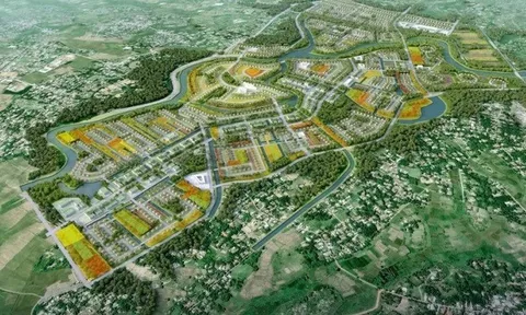 Quảng Nam thu hồi 2 dự án hơn 5.400 tỷ đồng của Tập đoàn T&T