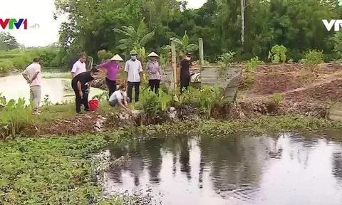 Thái Bình: Bị đình chỉ hoạt động, cơ sở sản xuất thạch vẫn ngang nhiên xả thải