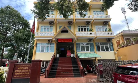 Đắk Lắk: Một Phó Giám đốc Ban quản lý dự án bị tố giả mạo hồ sơ để đi thi chứng chỉ hành nghề