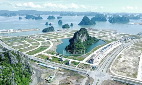 Quảng Ninh lên tiếng vụ 'lấp biển, bức tử núi đá thành hòn non bộ'