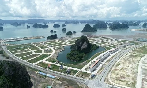 Thực hư về 'hòn non bộ' gây 'bão' mạng xã hội những ngày qua?