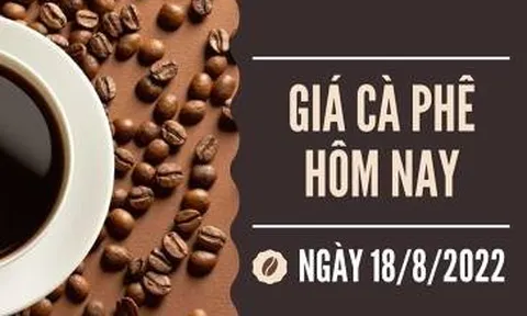 Giá cà phê hôm nay 18/8: Giảm nhẹ 100 đồng/kg tại các tỉnh trọng điểm