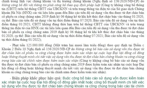 Tập đoàn Nam Mê Kông bị xử phạt 210 triệu đồng do không công bố tiến độ sử dụng vốn