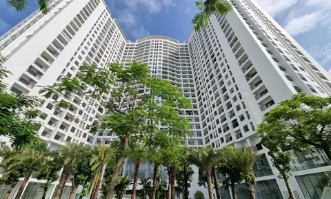 Chủ đầu tư Chung cư Tecco Diamond bị xử phạt vì chưa nghiệm thu chất lượng công trình đã đưa dân vào ở