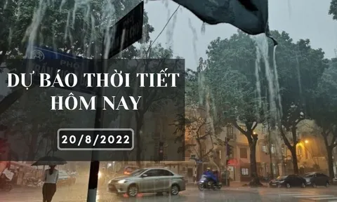Dự báo thời tiết hôm nay 20/8/2022: Hà Nội, Đà Nẵng có mưa to vào chiều tối, TP HCM trời nắng, đêm không mưa