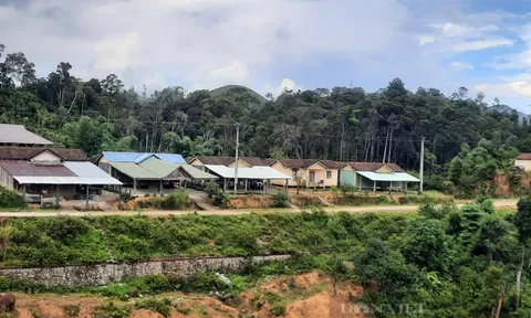 Động đất tại Kon Tum: Chiều 23/8 ghi nhận 7 trận, có trận mạnh nhất từ trước đến nay