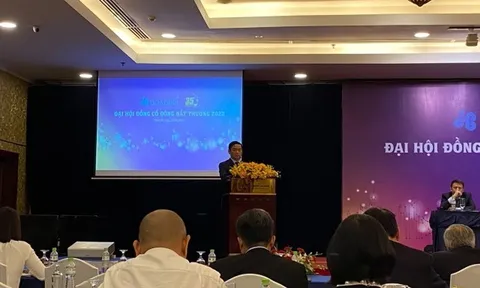 Chủ tịch Tập đoàn Xây dựng Hòa Bình Lê Viết Hải: HBC như cá voi trong ao chật chội