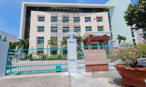 45 ngày thanh tra tài chính tại các trường học thuộc Sở Giáo dục và Đào tạo Bình Định