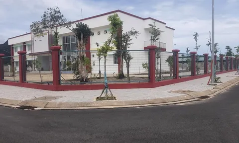Việc giao đất rừng cho Cityland Phú Quốc quản lý hoàn toàn minh bạch