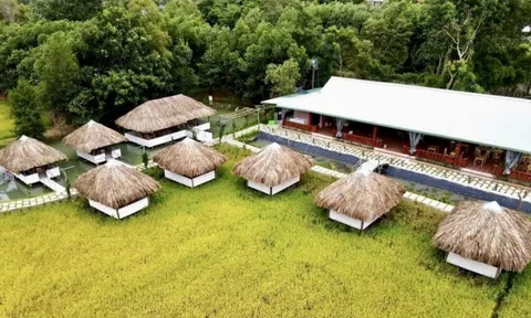 Bà Rịa - Vũng Tàu: Nở rộ mô hình homestay, farmstay tự phát