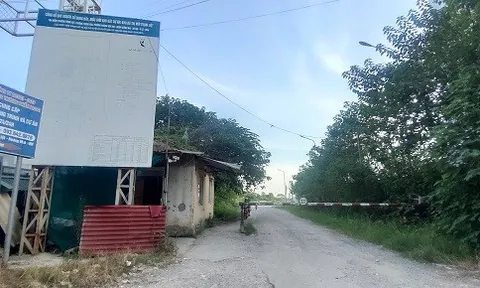 Gần 2 thập kỷ “nuôi” cỏ dại, Khu đô thị mới Thịnh Liệt hoang tàn, nhếch nhác