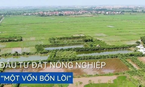 Đầu tư đất nông nghiệp “một vốn bốn lời”