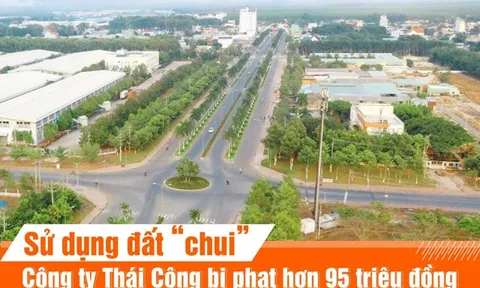 Sử dụng đất “chui”, công ty Thái Công bị phạt hơn 95 triệu đồng