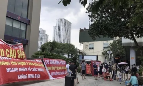 Alphanam Group: ‘Hạt sạn’ trong môi trường kinh doanh và thị trường bất động sản?