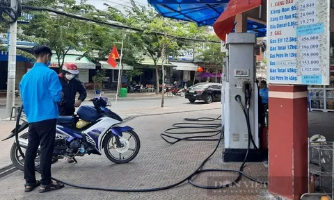 Cà Mau phát hiện 7 vụ vi phạm trong lĩnh vực xăng dầu