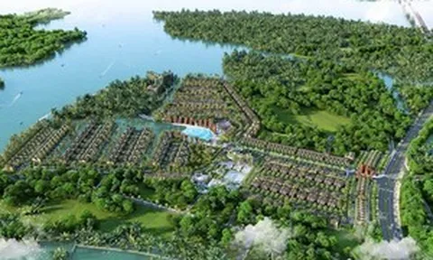 Năng lực Đạt Phương trúng thầu dự án đê chắn sóng cảng Chân Mây