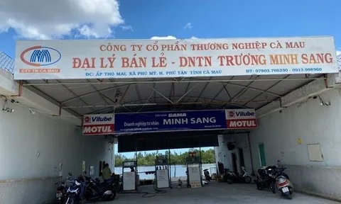 Thương nghiệp Cà Mau bị phạt gần 9 tỷ đồng