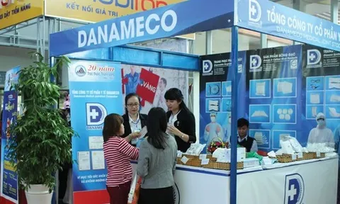 Y tế Danameco chuyển lỗ nặng sau soát xét, kiểm toán đưa ra loạt ý kiến ngoại trừ