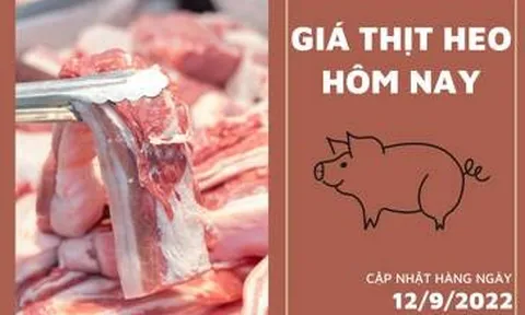 Giá thịt heo hôm nay 12/9: Ổn định ngày đầu tuần