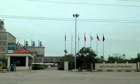 Thanh Hóa: Mắc nhiều sai phạm trong khai thác tài nguyên, Công ty Long Sơn bị phạt nặng