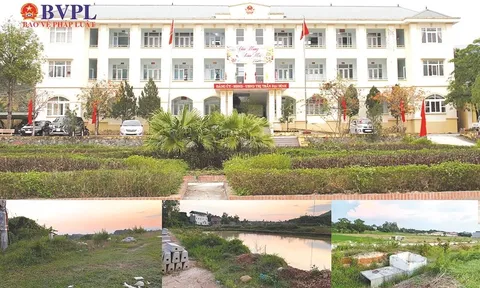 Vĩnh Phúc: Nhiều dấu hiệu sai phạm trong quản lý đất đai ở thị trấn Đại Bình, huyện Tam Đảo