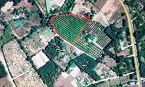 Hà Tĩnh cấp đất chồng lấn: Chưa thể thanh tra như chỉ đạo, phải thu hẹp phạm vi thanh tra