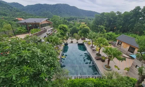 Sóc Sơn: Loạt villas, homestay phá rừng phòng hộ... Cơ quan địa phương từ chối làm việc?