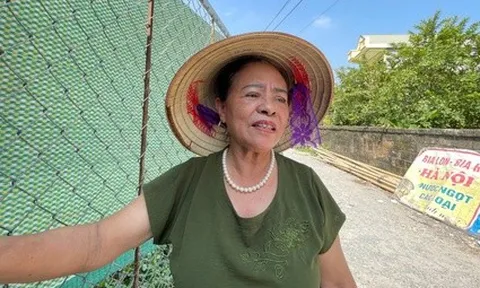 Bệnh viện nghìn tỷ bỏ hoang: Những chia sẻ cay đắng của người từng giao đất để xây bệnh viện