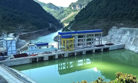 Vi phạm về thuế và hóa đơn, Sông Đà 5 (SD5) bị truy thu, xử phạt 1,1 tỷ đồng