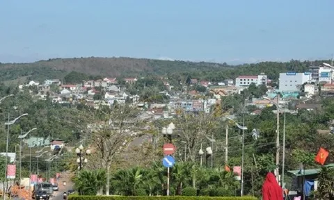 Đắk Nông: Chưa thu hồi 54ha đất cấp sai cho nguyên Giám đốc Sở KH&ĐT