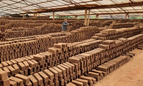 Sai phạm trong khai thác khoáng sản, Gạch ngói Ngọc Lý bị xử phạt 550 triệu đồng