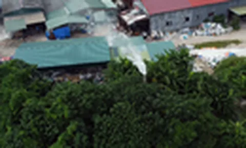 Hà Nội: Nhà xưởng, bến bãi nhếch nhác ven sông Hồng ở Ninh Sở