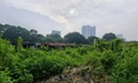 Xót xa loạt lô đất “hoang tàn” của Tổng công ty HUD