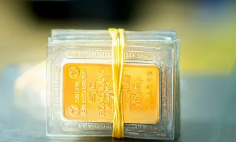 Giá vàng hôm nay 25/9: Tiếp tục giảm giá